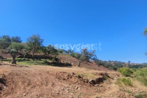 Farm hus i Ourique, Beja, Ourique - € 189.000 | Ref: BJ95765 - foto 26