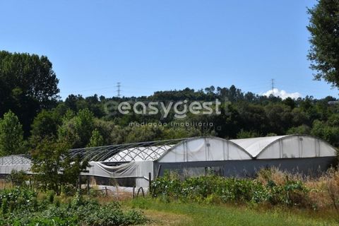 Helårsgrund i Viseu, Viseu, Viseu - € 60.000 | Ref: VS95756 - foto 2