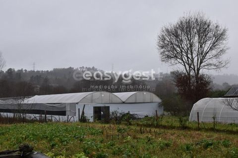 Helårsgrund i Viseu, Viseu, Viseu - € 60.000 | Ref: VS95756 - foto 3