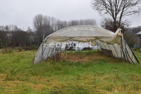 Helårsgrund i Viseu, Viseu, Viseu - € 60.000 | Ref: VS95756 - foto 4