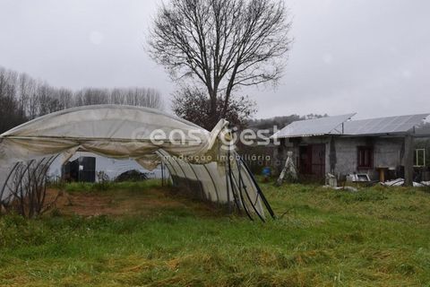 Helårsgrund i Viseu, Viseu, Viseu - € 60.000 | Ref: VS95756 - foto 5
