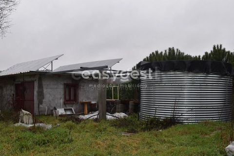 Helårsgrund i Viseu, Viseu, Viseu - € 60.000 | Ref: VS95756 - foto 6