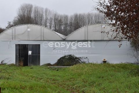 Helårsgrund i Viseu, Viseu, Viseu - € 60.000 | Ref: VS95756 - foto 14