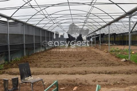 Helårsgrund i Viseu, Viseu, Viseu - € 60.000 | Ref: VS95756 - foto 15