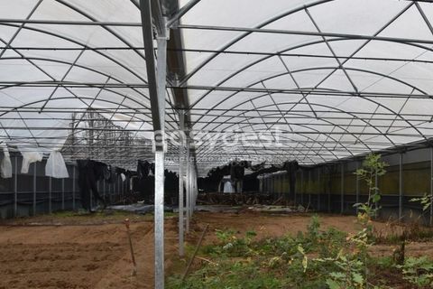 Helårsgrund i Viseu, Viseu, Viseu - € 60.000 | Ref: VS95756 - foto 17