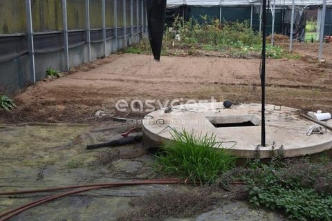 Helårsgrund i Viseu, Viseu, Viseu - € 60.000 | Ref: VS95756 - foto 18