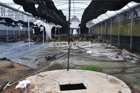Helårsgrund i Viseu, Viseu, Viseu - € 60.000 | Ref: VS95756 - foto 19