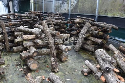 Helårsgrund i Viseu, Viseu, Viseu - € 60.000 | Ref: VS95756 - foto 20