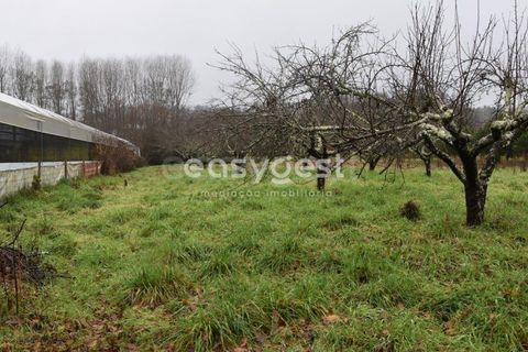 Helårsgrund i Viseu, Viseu, Viseu - € 60.000 | Ref: VS95756 - foto 22