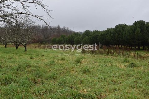 Helårsgrund i Viseu, Viseu, Viseu - € 60.000 | Ref: VS95756 - foto 23