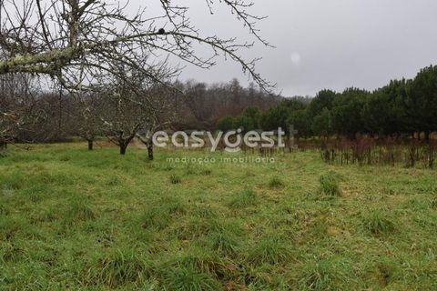 Helårsgrund i Viseu, Viseu, Viseu - € 60.000 | Ref: VS95756 - foto 25
