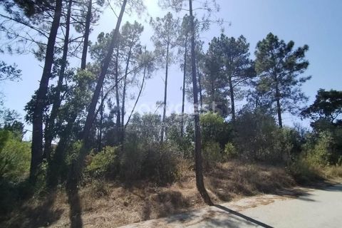Helårsgrund i Tomar, Santarem, Tomar - € 36.000 | Ref: TM96122 - foto 1