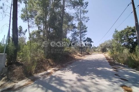 Helårsgrund i Tomar, Santarem, Tomar - € 36.000 | Ref: TM96122 - foto 2