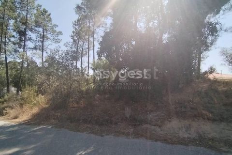 Helårsgrund i Tomar, Santarem, Tomar - € 36.000 | Ref: TM96122 - foto 7