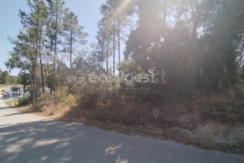 Helårsgrund i Tomar, Santarem, Tomar - € 36.000 | Ref: TM96122 - foto 8