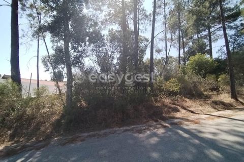 Helårsgrund i Tomar, Santarem, Tomar - € 36.000 | Ref: TM96122 - foto 10