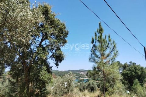 Helårsgrund i Tomar, Santarem, Tomar - € 36.000 | Ref: TM96122 - foto 12