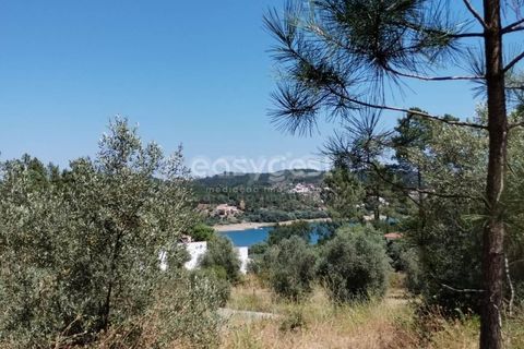 Helårsgrund i Tomar, Santarem, Tomar - € 36.000 | Ref: TM96122 - foto 13