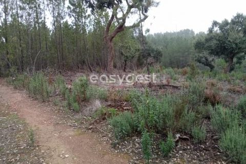 Helårsgrund i Castelo Branco, Castelo Branco, Castelo Branco - € 20.000 | Ref: CB95619MA - foto 11