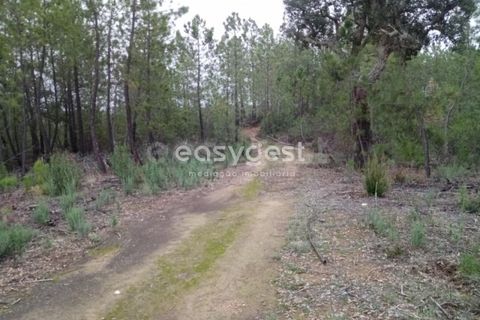 Helårsgrund i Castelo Branco, Castelo Branco, Castelo Branco - € 20.000 | Ref: CB95619MA - foto 13