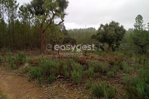 Helårsgrund i Castelo Branco, Castelo Branco, Castelo Branco - € 20.000 | Ref: CB95619MA - foto 14