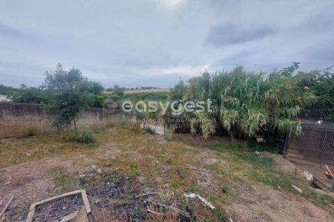 Villa a Beja, Beja, Beja - € 35.000 | Ref: BJ95948 - foto 7