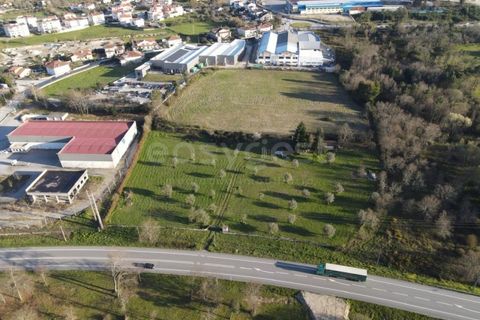 Farm i Mangualde, Viseu, Mangualde - € 1.070.000 | Ref: VS96543 - foto 1