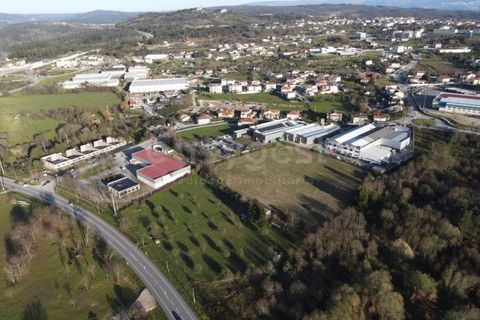 Farm i Mangualde, Viseu, Mangualde - € 1.070.000 | Ref: VS96543 - foto 2