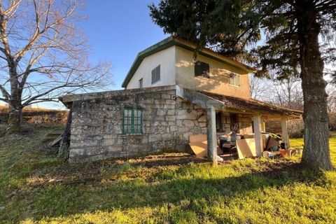 Farm i Mangualde, Viseu, Mangualde - € 1.070.000 | Ref: VS96543 - foto 4