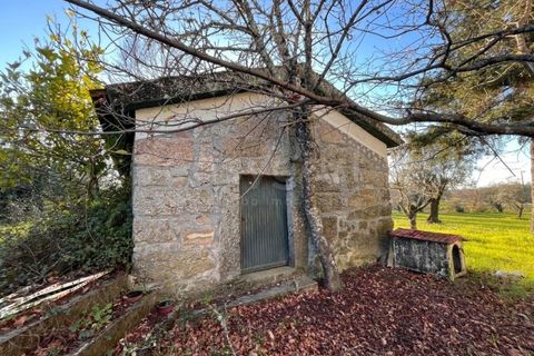 Farm i Mangualde, Viseu, Mangualde - € 1.070.000 | Ref: VS96543 - foto 5
