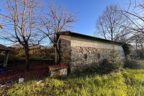 Farm i Mangualde, Viseu, Mangualde - € 1.070.000 | Ref: VS96543 - foto 6