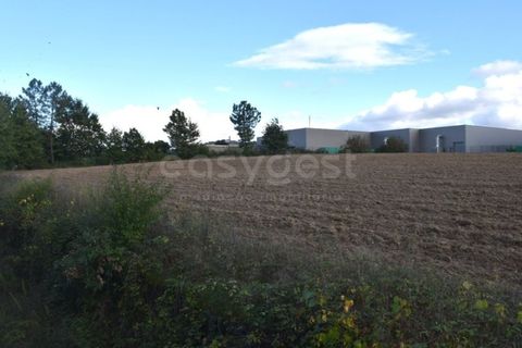 Farm i Mangualde, Viseu, Mangualde - € 1.070.000 | Ref: VS96543 - foto 7