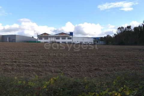 Farm i Mangualde, Viseu, Mangualde - € 1.070.000 | Ref: VS96543 - foto 8