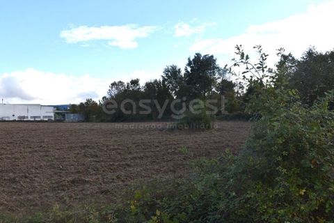 Farm i Mangualde, Viseu, Mangualde - € 1.070.000 | Ref: VS96543 - foto 9