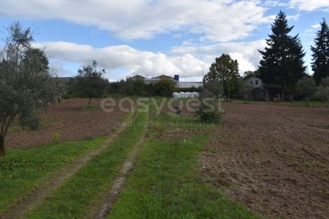 Farm i Mangualde, Viseu, Mangualde - € 1.070.000 | Ref: VS96543 - foto 11