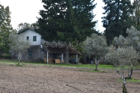 Farm i Mangualde, Viseu, Mangualde - € 1.070.000 | Ref: VS96543 - foto 12