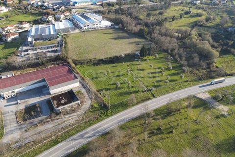 Farm i Mangualde, Viseu, Mangualde - € 1.070.000 | Ref: VS96543 - foto 15