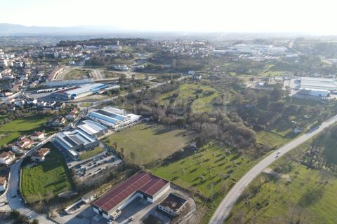 Farm i Mangualde, Viseu, Mangualde - € 1.070.000 | Ref: VS96543 - foto 16
