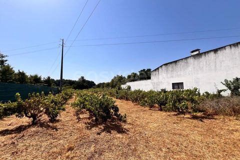 Tomt i Abrantes, Santarem, Abrantes - € 60 000 | Ref: TM95484 - foto 2