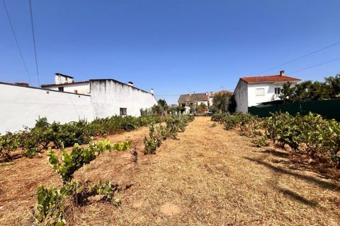 Tomt i Abrantes, Santarem, Abrantes - € 60 000 | Ref: TM95484 - foto 3