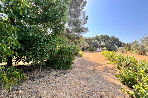 Tomt i Abrantes, Santarem, Abrantes - € 60 000 | Ref: TM95484 - foto 4