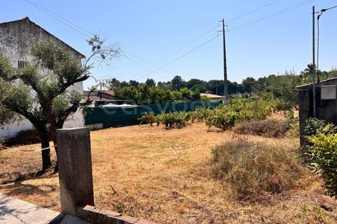 Tomt i Abrantes, Santarem, Abrantes - € 60 000 | Ref: TM95484 - foto 6