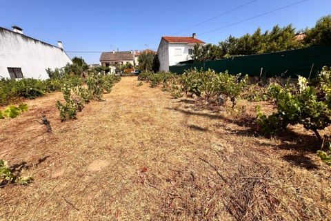 Tomt i Abrantes, Santarem, Abrantes - € 60 000 | Ref: TM95484 - foto 7