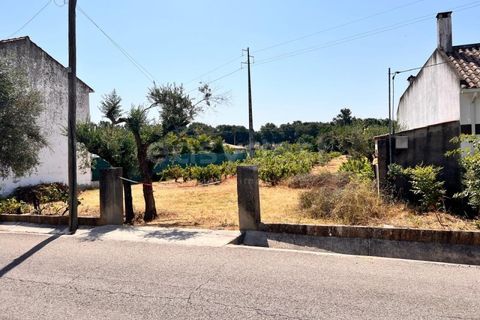 Tomt i Abrantes, Santarem, Abrantes - € 60 000 | Ref: TM95484 - foto 9