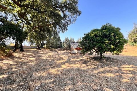Tomt i Abrantes, Santarem, Abrantes - € 60 000 | Ref: TM95484 - foto 11