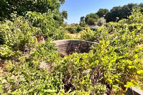 Tomt i Abrantes, Santarem, Abrantes - € 60 000 | Ref: TM95484 - foto 12