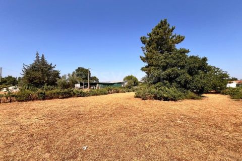 Tomt i Abrantes, Santarem, Abrantes - € 60 000 | Ref: TM95484 - foto 13