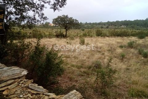 Helårsgrund i Castelo Branco, Castelo Branco, Castelo Branco - € 65.000 | Ref: CB95453MA - foto 1