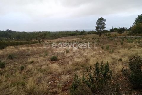 Helårsgrund i Castelo Branco, Castelo Branco, Castelo Branco - € 65.000 | Ref: CB95453MA - foto 2