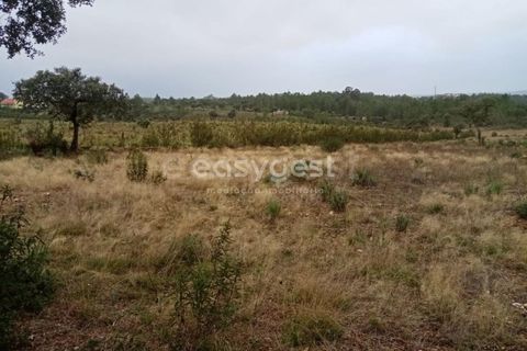 Helårsgrund i Castelo Branco, Castelo Branco, Castelo Branco - € 65.000 | Ref: CB95453MA - foto 3